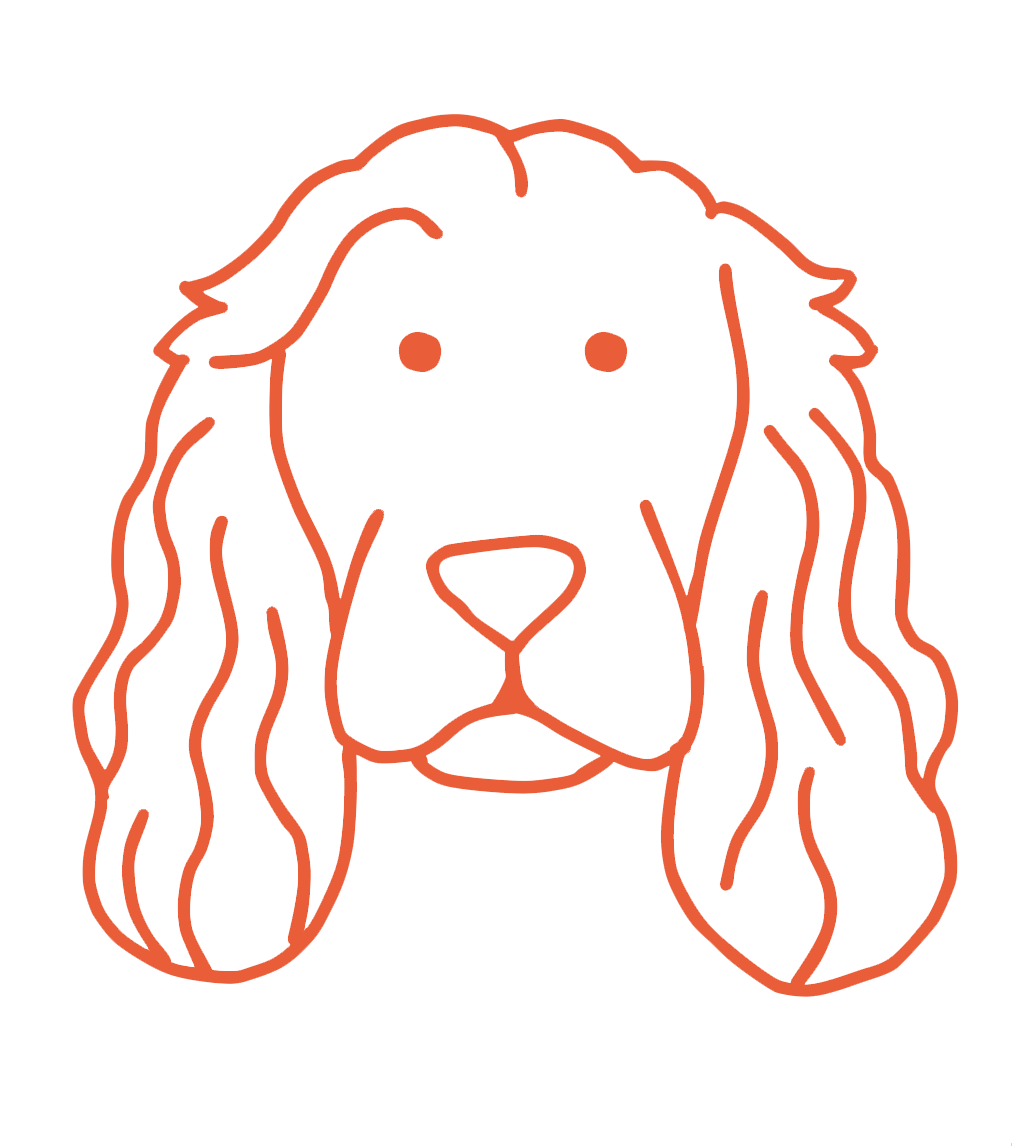 Archibald